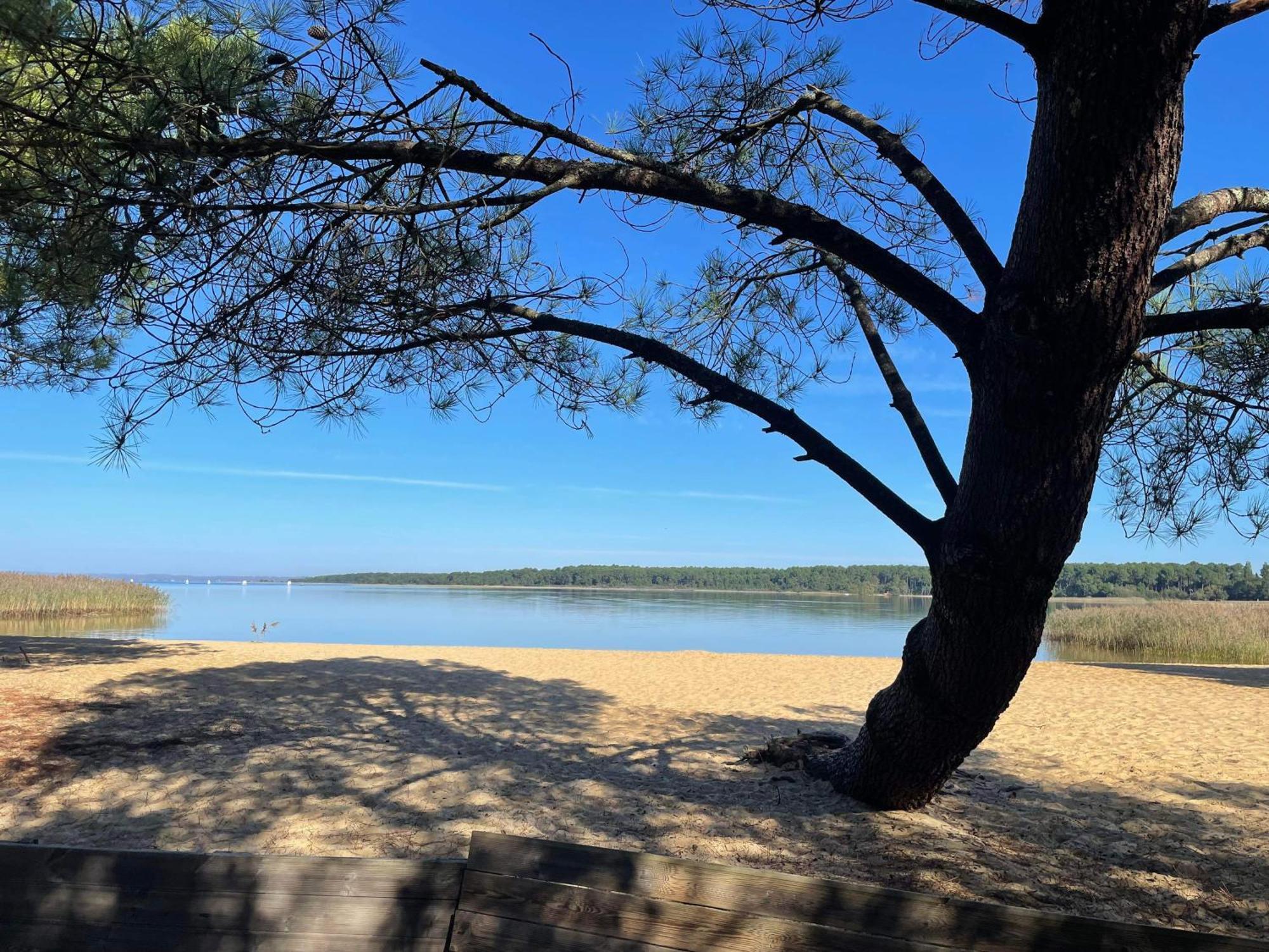 Appartement T2 Proche Lac サンギネ エクステリア 写真