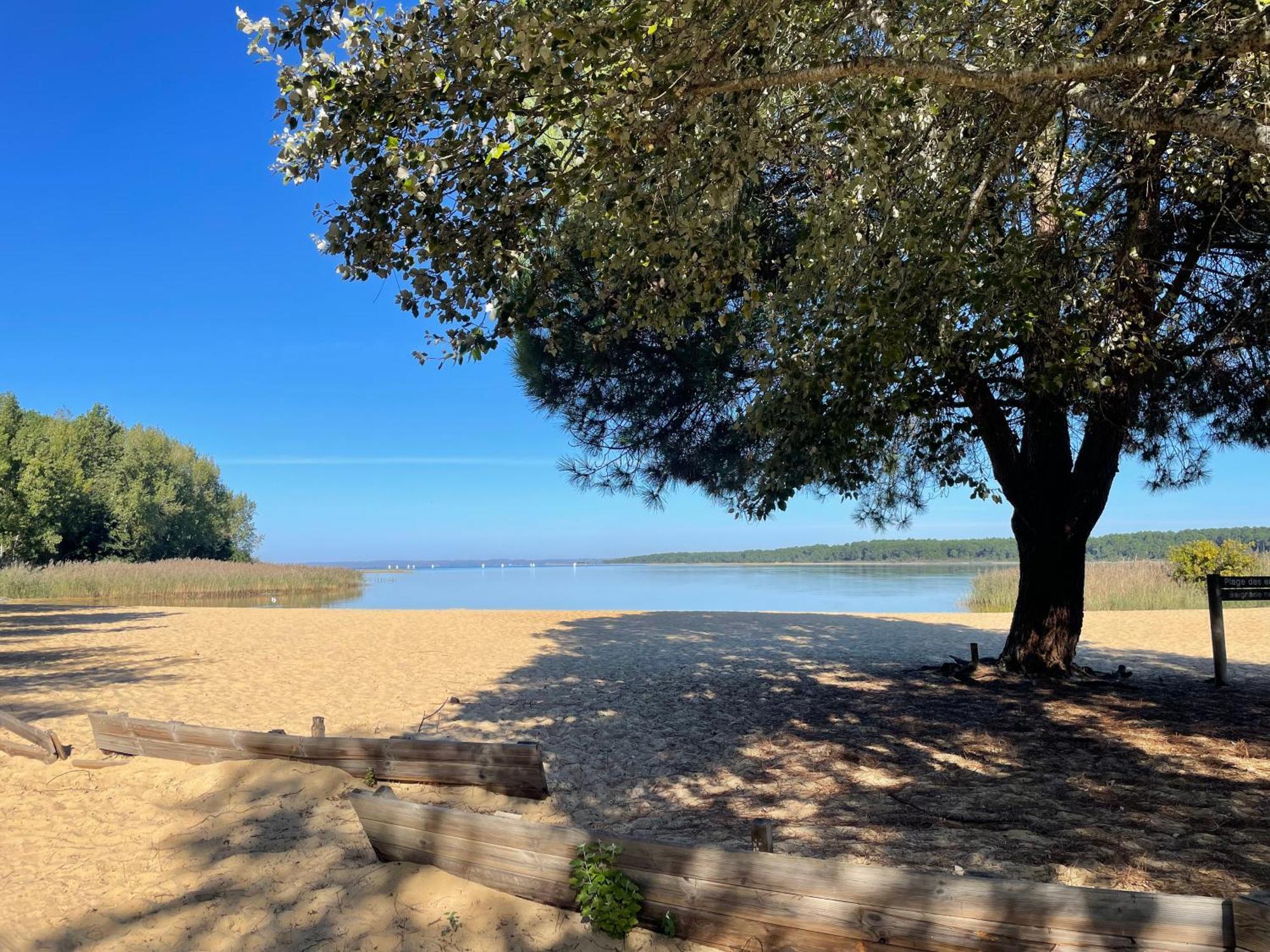 Appartement T2 Proche Lac サンギネ エクステリア 写真
